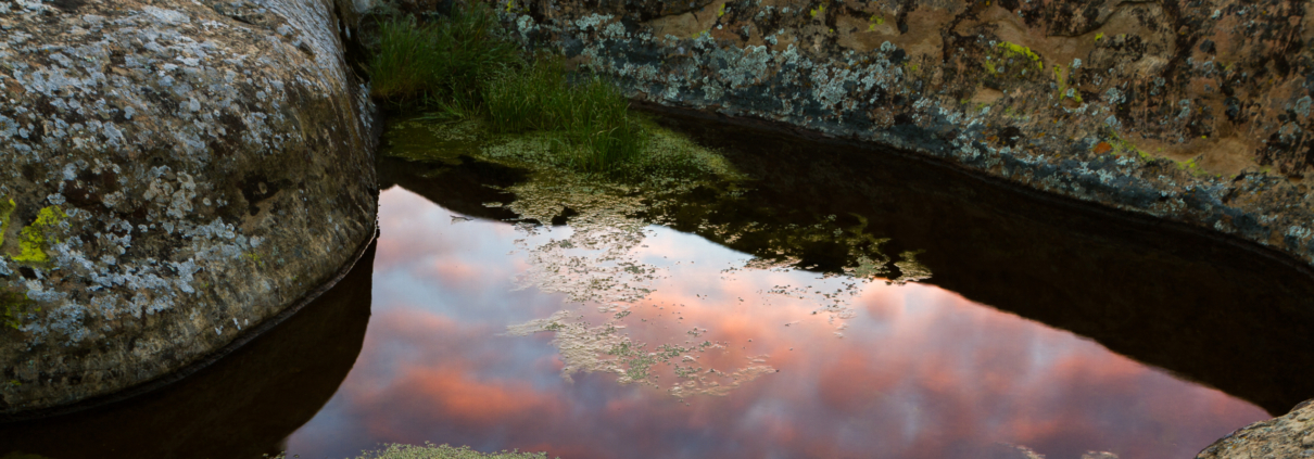 a reflective pond shows sunset. this image is near Vasco Caves Regional Preserve in Co Co County