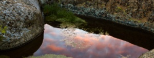 a reflective pond shows sunset. this image is near Vasco Caves Regional Preserve in Co Co County