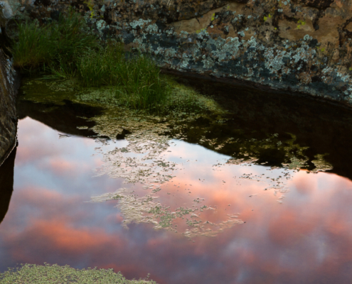 a reflective pond shows sunset. this image is near Vasco Caves Regional Preserve in Co Co County